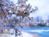 婴灵超度：流产后怎么化解孩子,如果没有化解婴灵,后果可是很严重