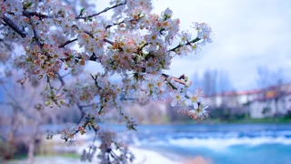 婴灵超度：流产后怎么化解孩子,如果没有化解婴灵,后果可是很严重