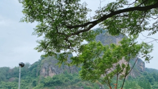 道教法事：江苏男子摸出文物久病不愈,撞邪了怎么化解