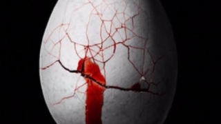 婴灵超度：婴灵缠身父亲的表现很明显