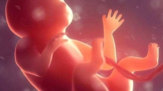 婴灵超度：第一胎打掉了会有报应，不化解的话会很惨