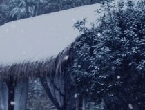 婴灵超度：如何回向婴灵,道教渡亡婴灵回向功德,让婴灵下一世投个好胎