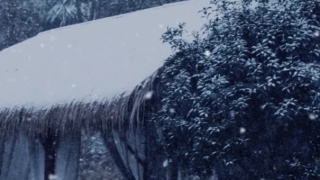 婴灵超度：如何回向婴灵,道教渡亡婴灵回向功德,让婴灵下一世投个好胎