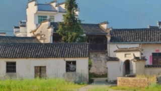 财库财运：房子不住人放什么辟邪,这几样物品,驱邪还招财