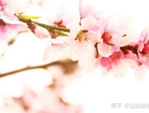 旺姻缘：澐清阁元辰宫——招桃花的方法