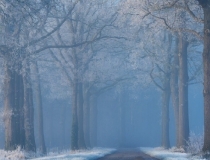 婴灵超度：不小心滑胎需要渡亡吗,不渡亡会对我们产生的影响,如何进行渡亡