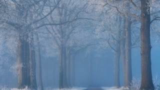 婴灵超度：不小心滑胎需要渡亡吗,不渡亡会对我们产生的影响,如何进行渡亡