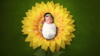 还受生债：不要随便还阴债是真的吗 ， 没有胎心胎芽堕胎算杀生吗