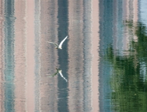 还受生债：受生经经咒还阴债，不还阴债对于我们的影响很大