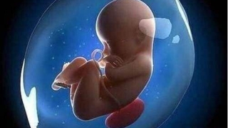 婴灵超度：堕胎会有报应吗，超度堕胎婴灵方法