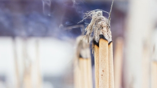 超度法事：烧香祈福保平安有很多讲究，不懂就要看