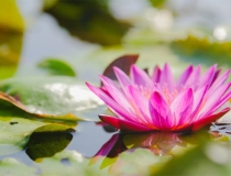 婴灵超度：流产胎儿埋在哪里合适，来看看道长怎么说的吧