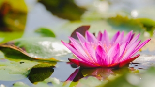 婴灵超度：流产胎儿埋在哪里合适，来看看道长怎么说的吧