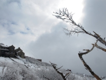 还受生债：正规阴债查询表填写方法，还阴债要趁早