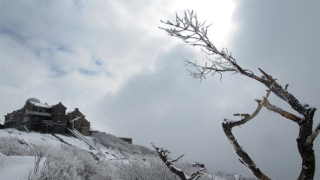 还受生债：正规阴债查询表填写方法，还阴债要趁早